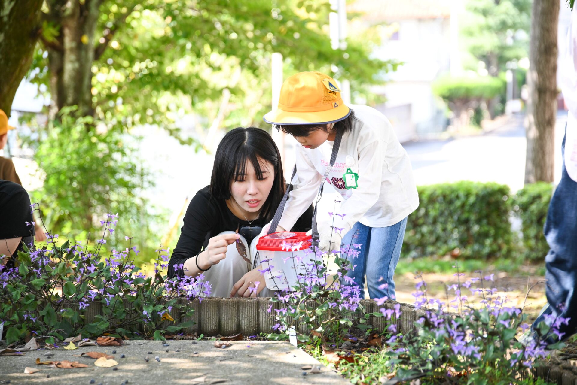 自然あふれるキャンパスで虫とり体験　桑原小と保育科の交流