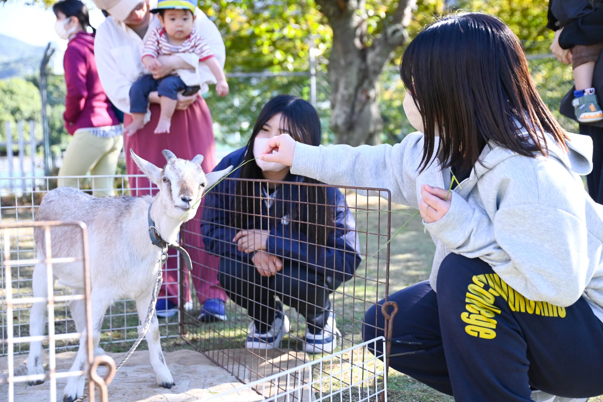 子ども専攻　授業「環境の指導法Ⅰ」で移動動物園を実施しました