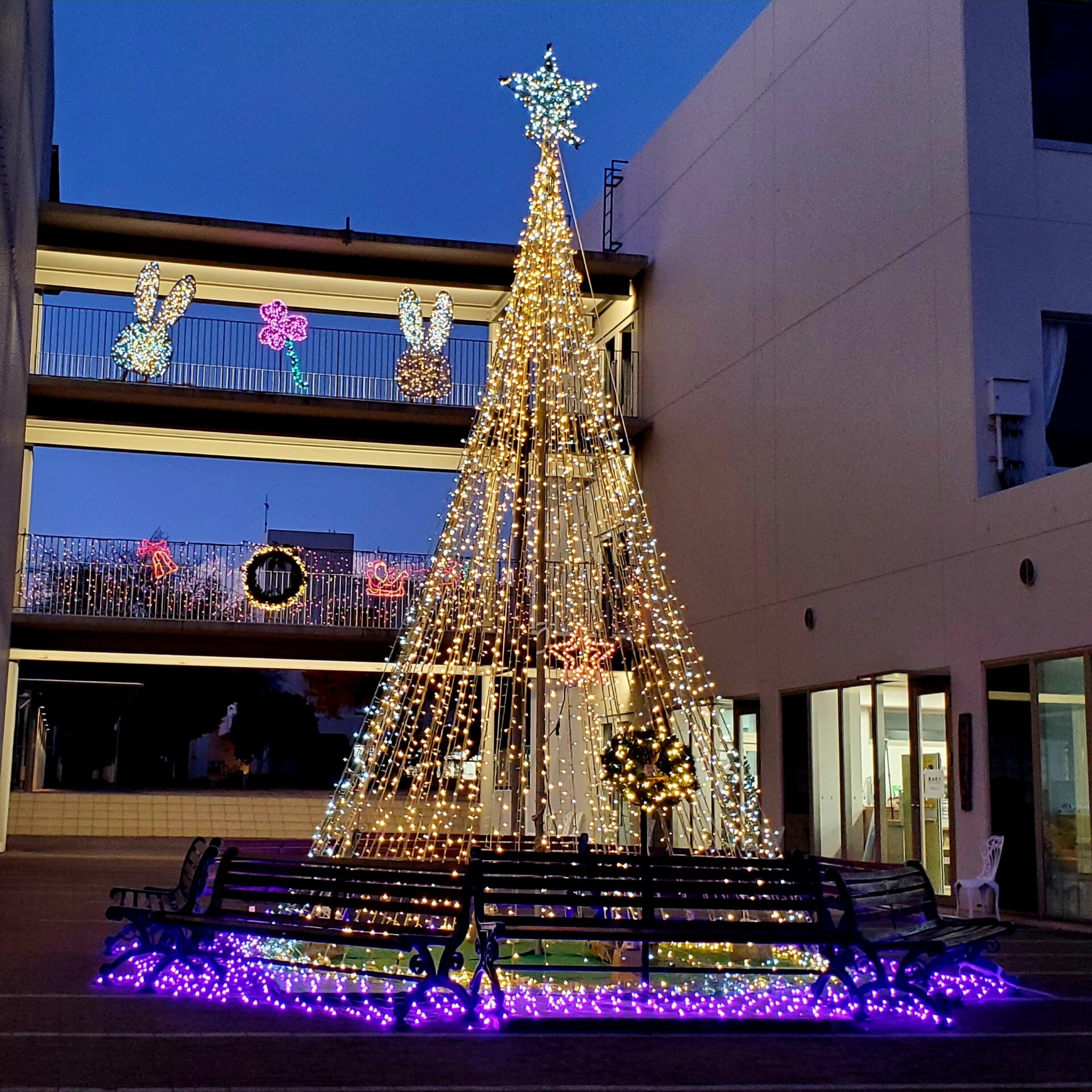 【12月開催】きらめくクリスマスを、ご一緒に。しののめのオープン・チャペル（クリスマス礼拝・イベント）のご案内
