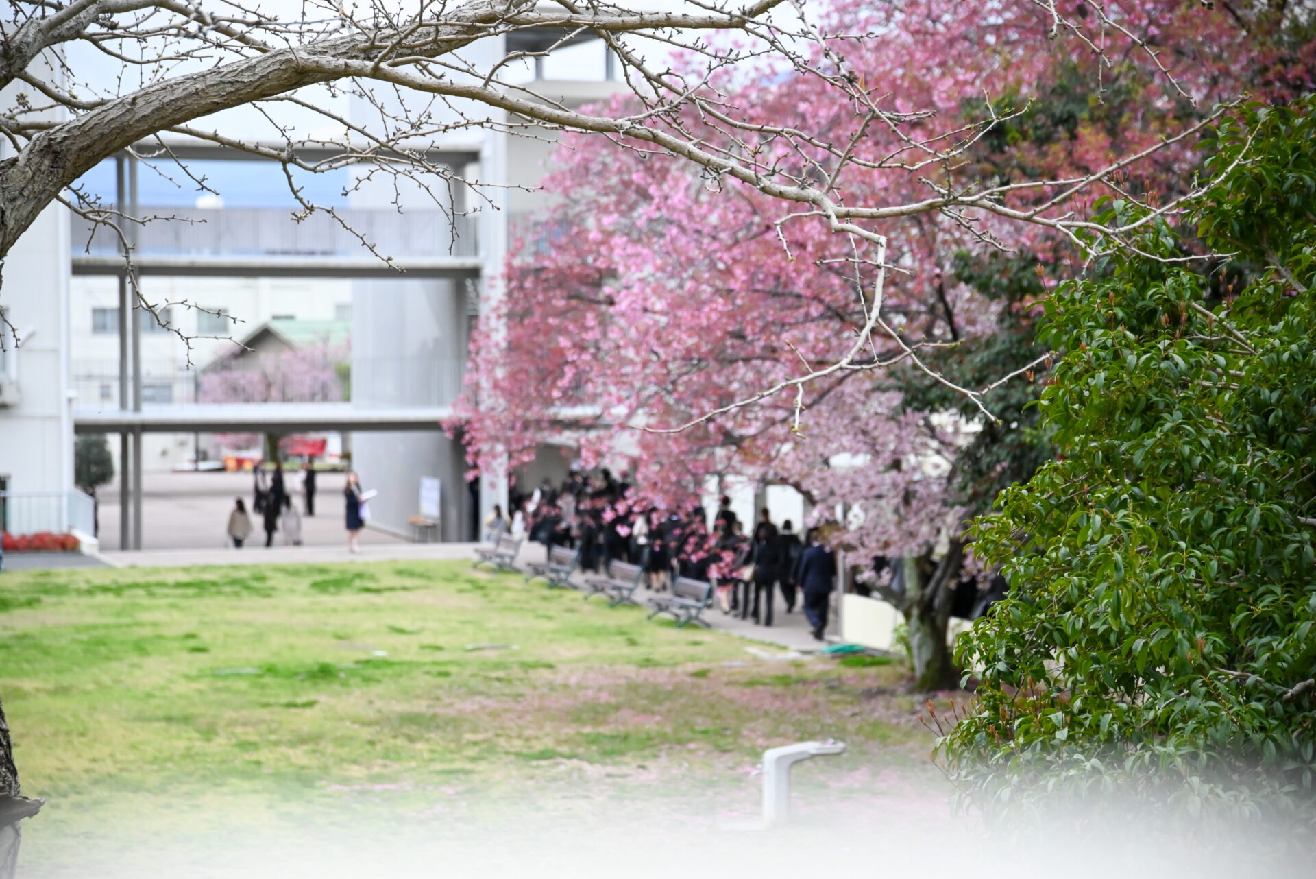 2026年度入学式（2026年4月2日）