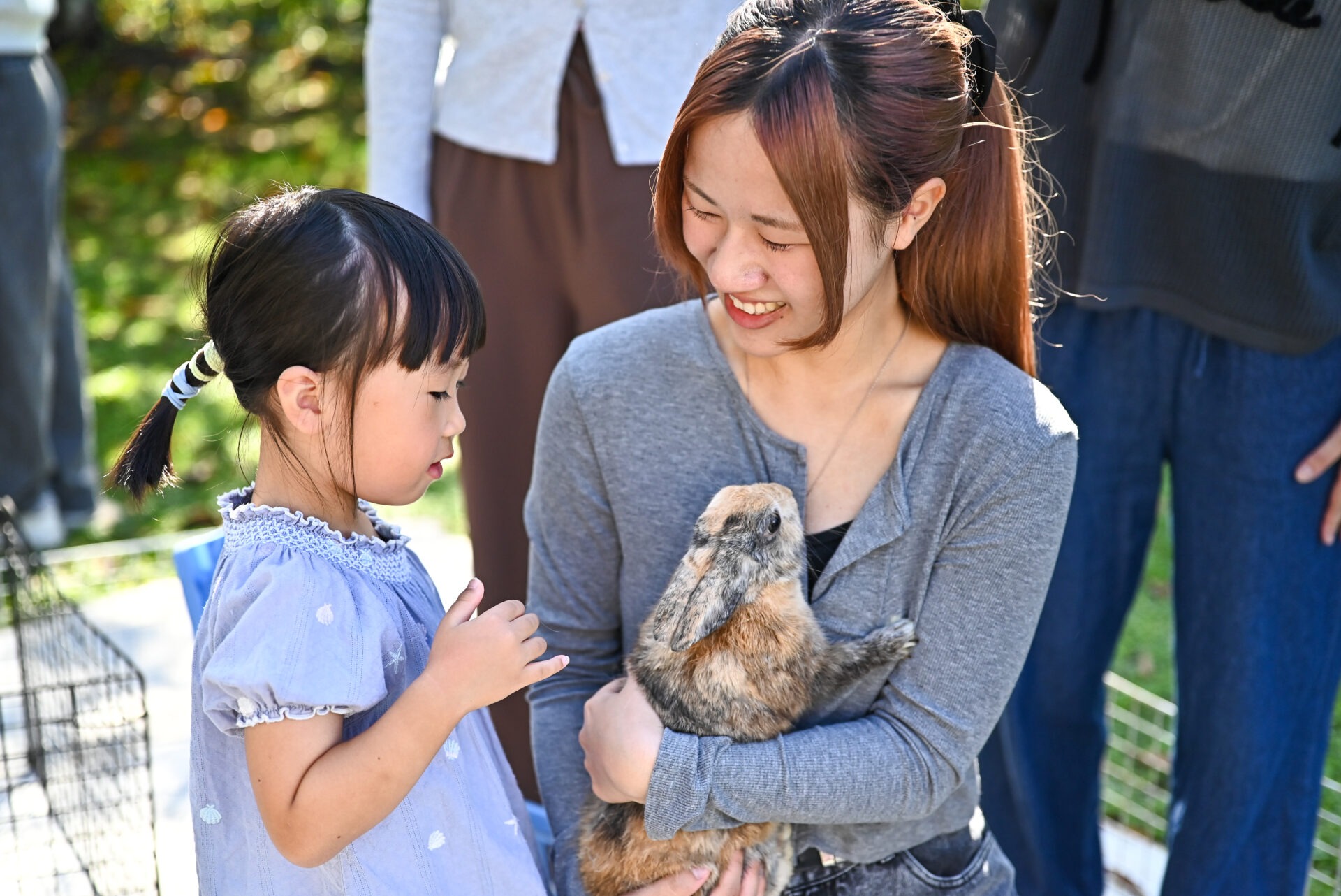 子ども専攻　授業「環境の指導法Ⅰ」で移動動物園を実施しました